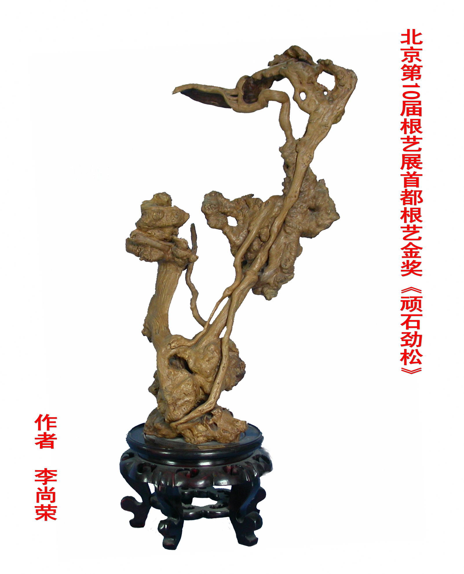 李尚荣先生获奖根艺作品《顽石劲松》